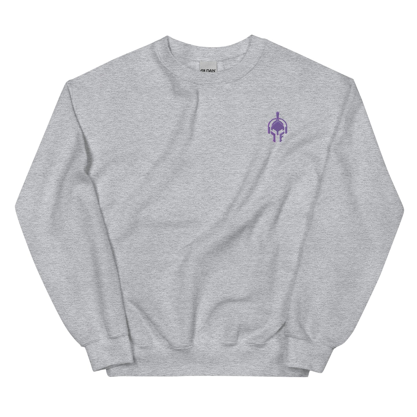 Grey & Purple Jamin Fitness Sweatshirt